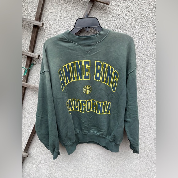 Anine Bing Jaci Sweatshirt in Washed Faded Green Size Medium - Picture 9 of 12